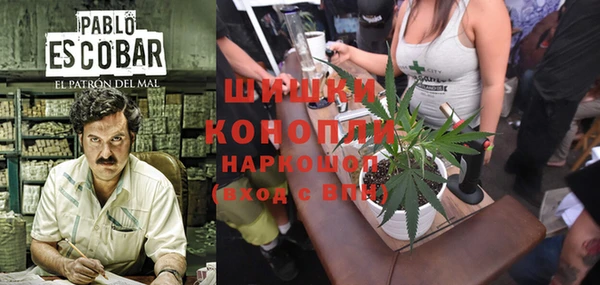 тгк Богородицк