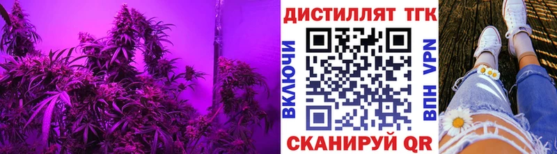 ТГК концентрат  Балей 